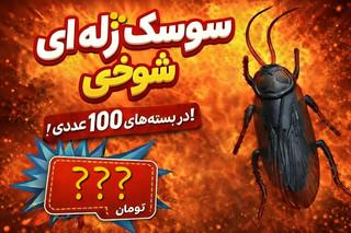 اسباببازی سوسک و هزار پا ژله ای شوخی